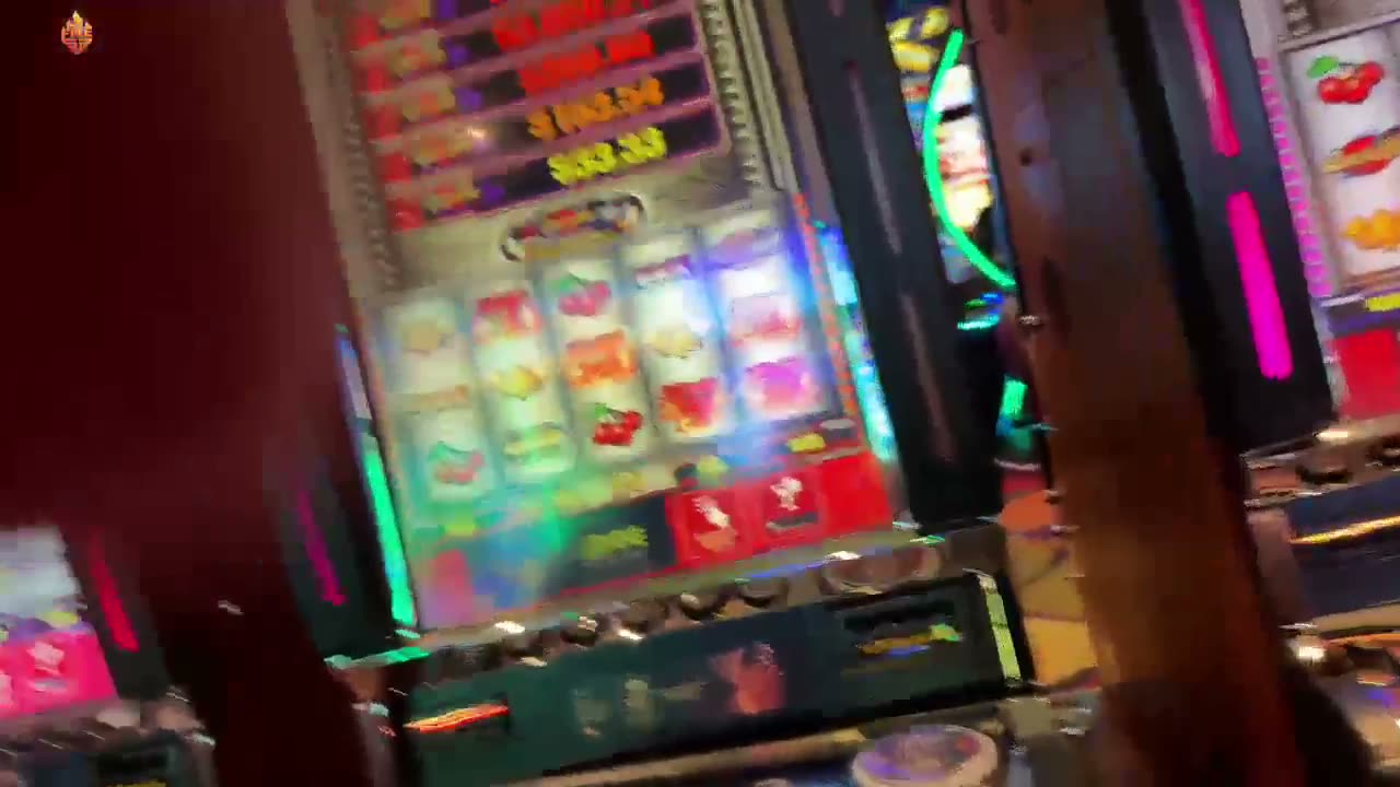 Live Stream